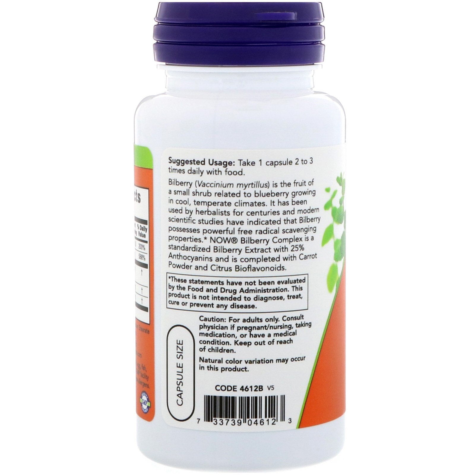 NOW Foods Bilberry Complex, 100 Veg Capsules