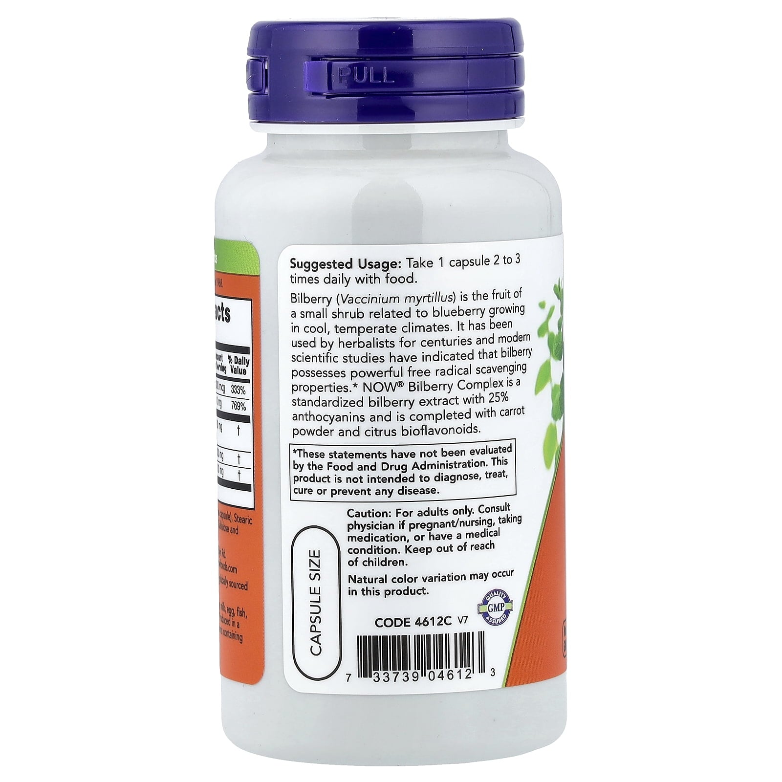 NOW Foods Bilberry Complex, 100 Veg Capsules