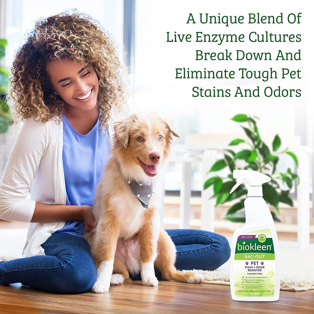 Biokleen Bac-Out Pet Urine Odor Eliminator - 32 Ounce Spray 2 Pack - Enzymatic, Natural, Destroys Stains &amp; Odors Safely, for Pet Stains on Carpets &amp; Furniture - Micro Towel Included