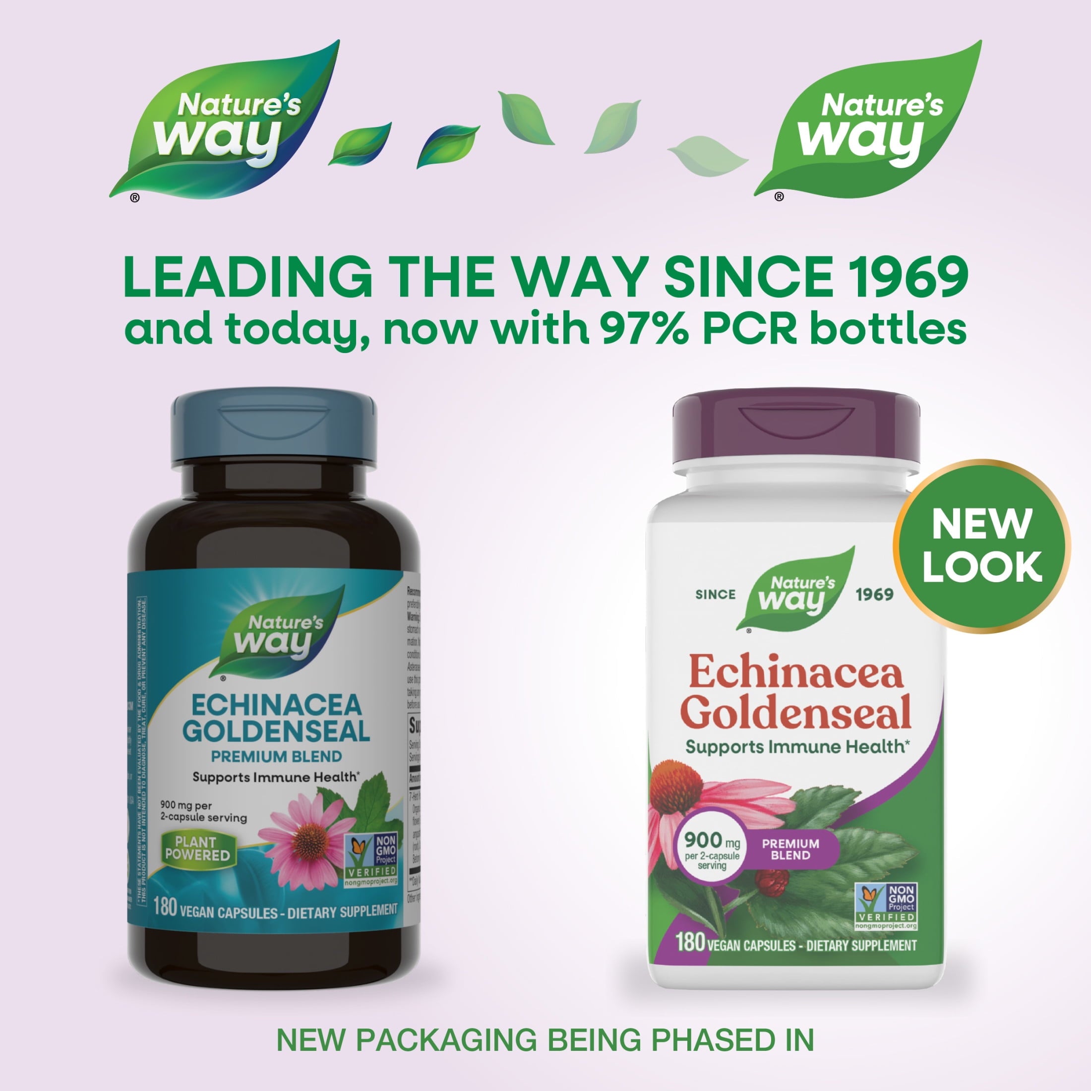 Nature's Way Echinacea Goldenseal Capsules, Premium Blend, Supports Immune Health*, Unisex,  180ct