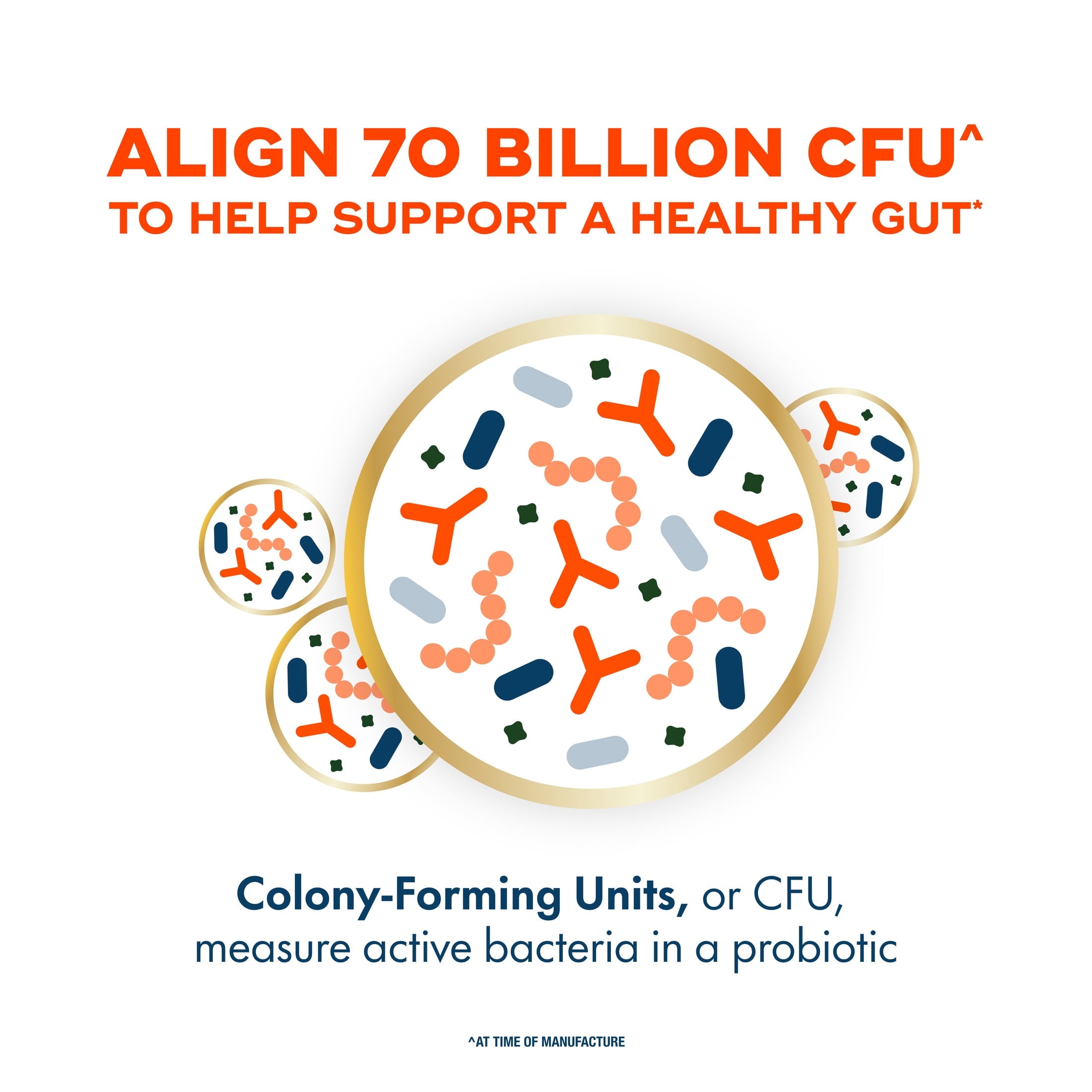 Align Probiotic, 70 Billion CFU^, Daily Probiotic Supplement, 30 Capsules