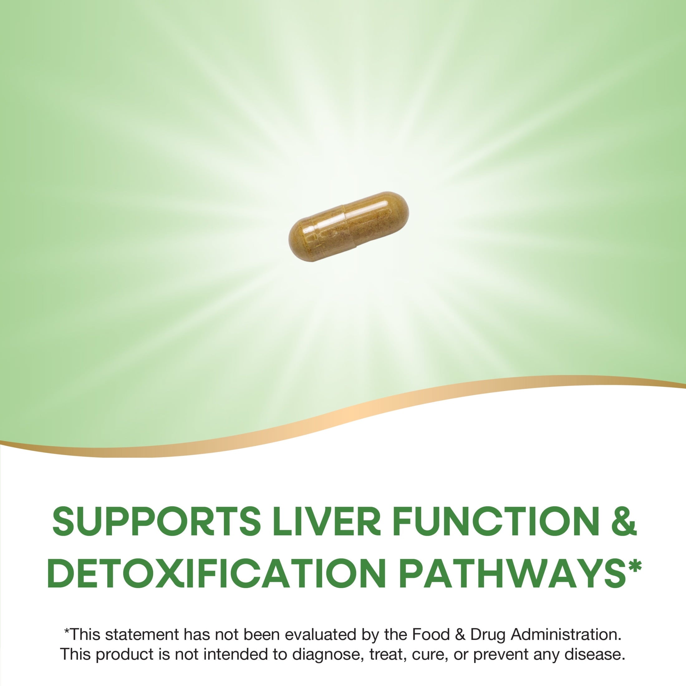 Nature's Way Milk Thistle Capsules, Supports Liver Function*, Unisex, 120ct