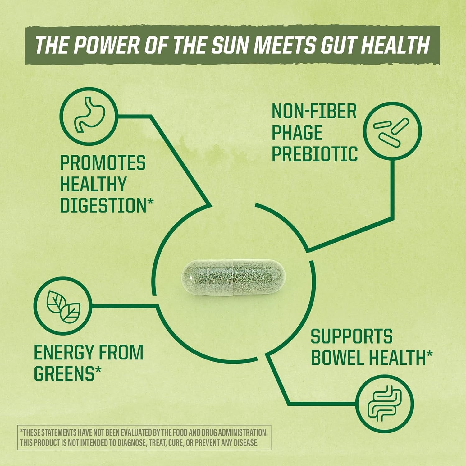Sunwarrior Organic Soil-Based Probiotics|10 Billion CFU for Digestive Health, 30 CT