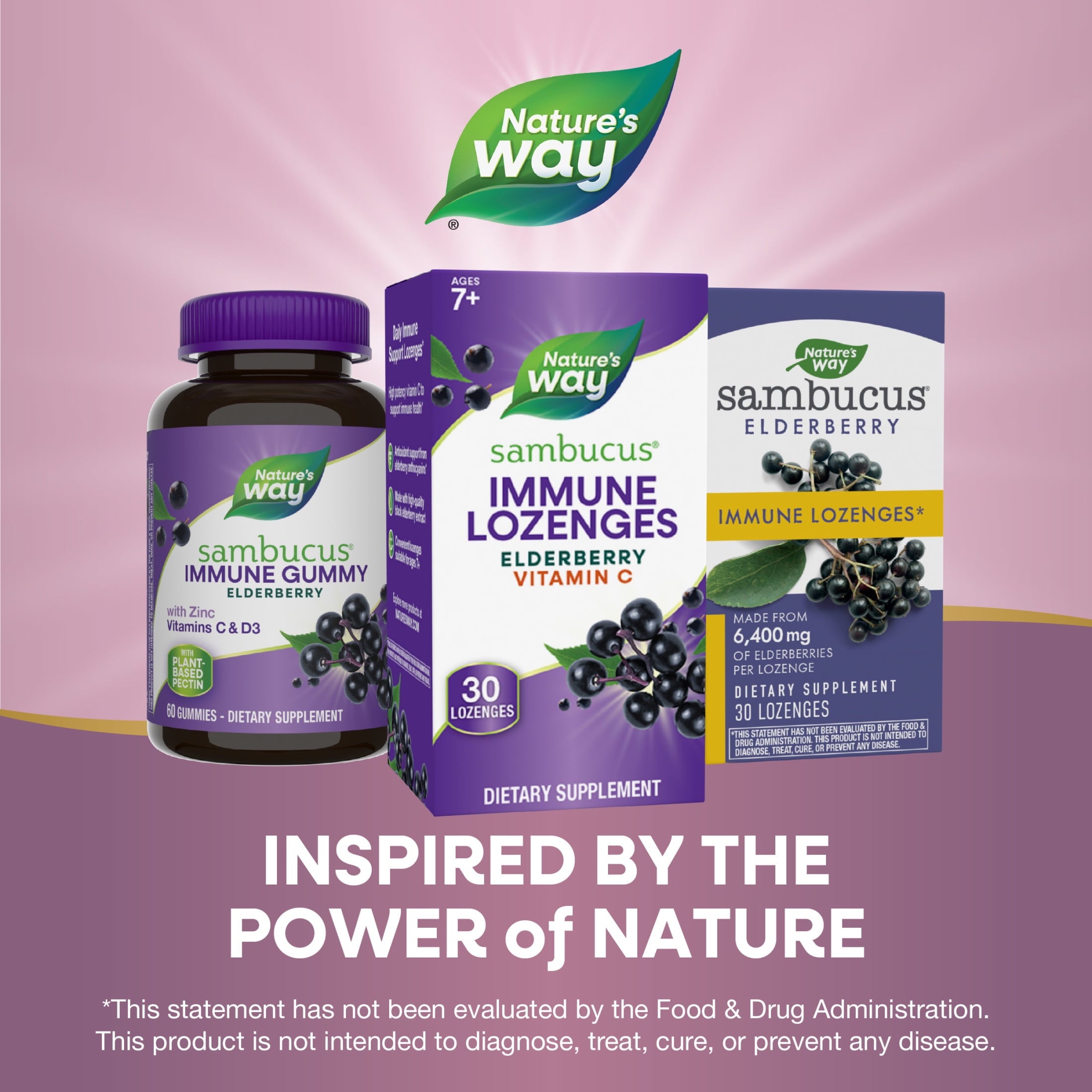 Nature's Way Sambucus Immune Lozenges, Vitamin C, Black Elderberry Extract, Immune Support*, 30ct