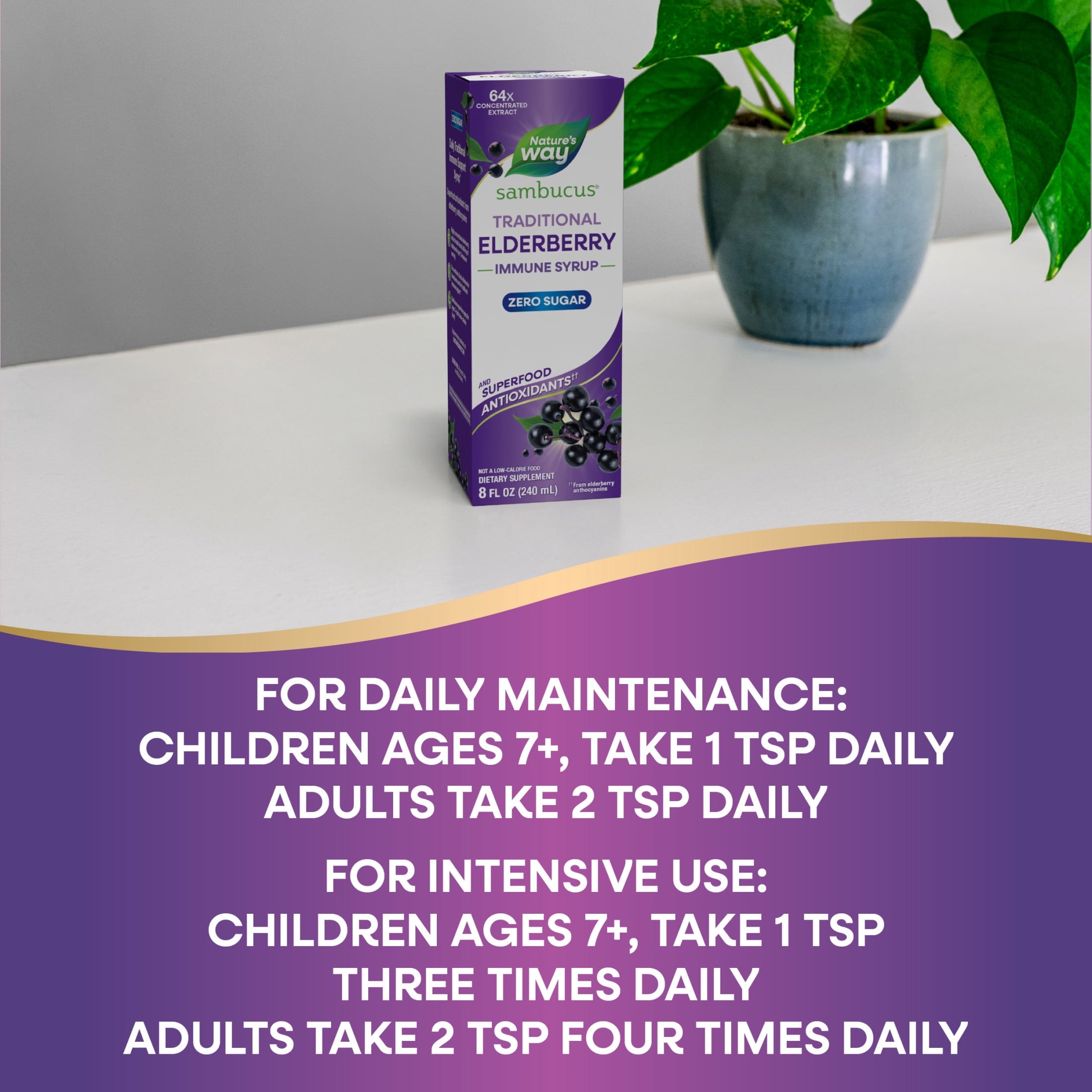 Nature's Way Sambucus Sugar-Free Elderberry Syrup, Traditional Immune Support*, 8 Fl Oz.