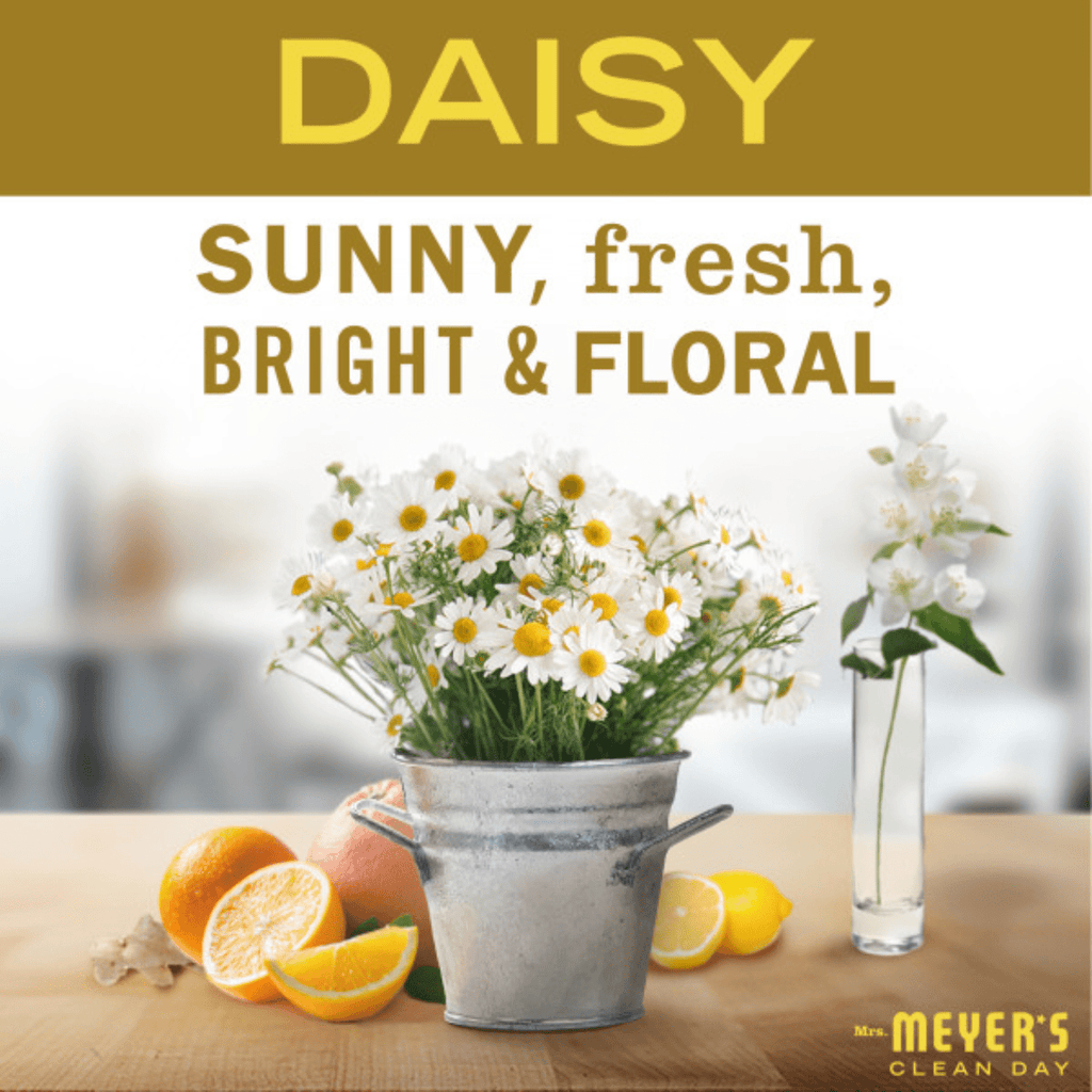 Mrs. Meyer's Liquid Hand Soap, Daisy, 12.5 oz (Pack 3)
