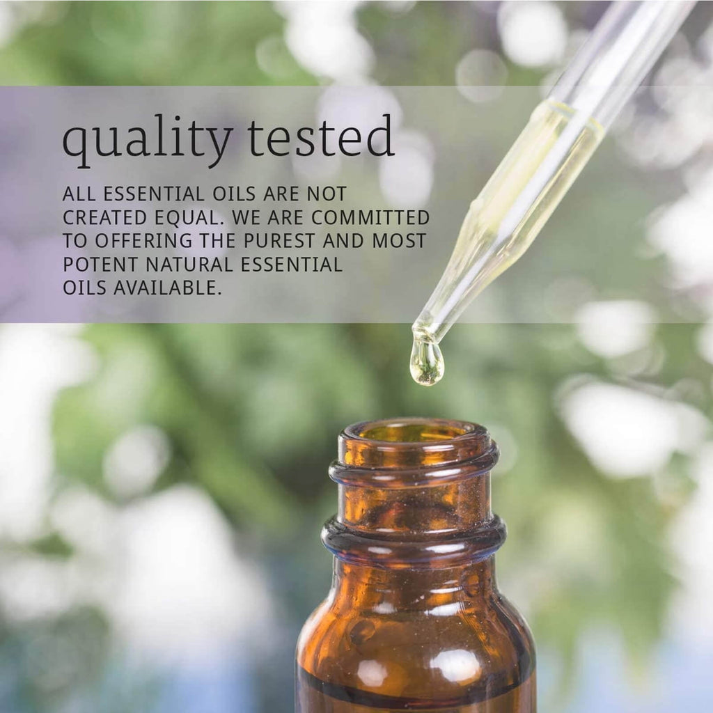 NOW FOODS Holiday Cheer Gift Case With Diffuser &amp; Oils