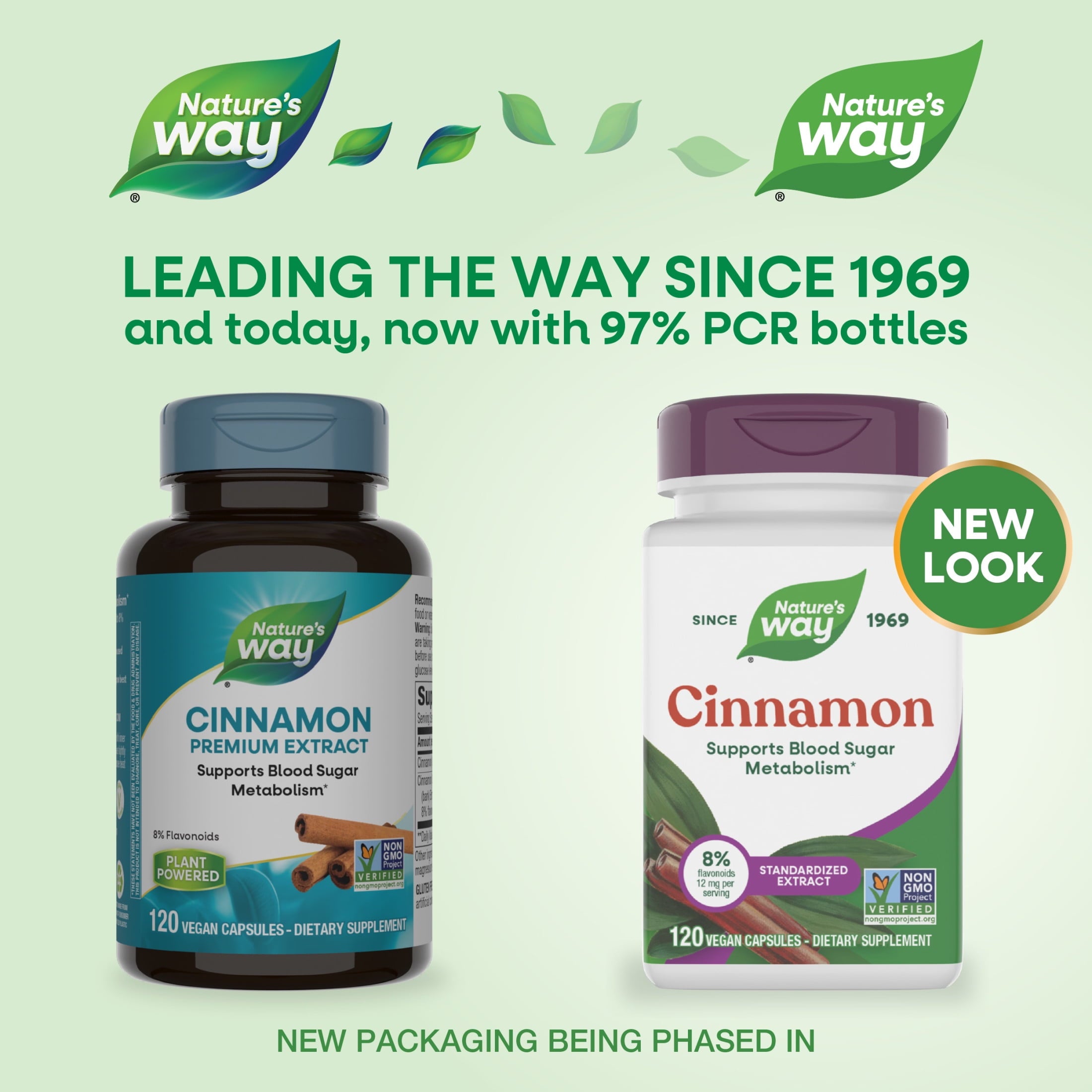 Nature's Way Cinnamon Premium Extract Capsules, Supports Blood Sugar Metabolism*, Unisex, 120ct