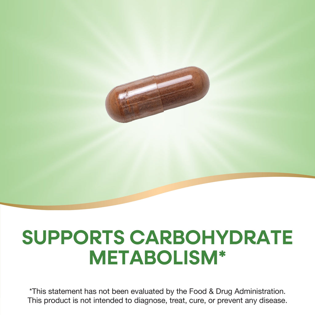 Nature's Way Cinnamon Premium Extract Capsules, Supports Blood Sugar Metabolism*, Unisex, 120ct