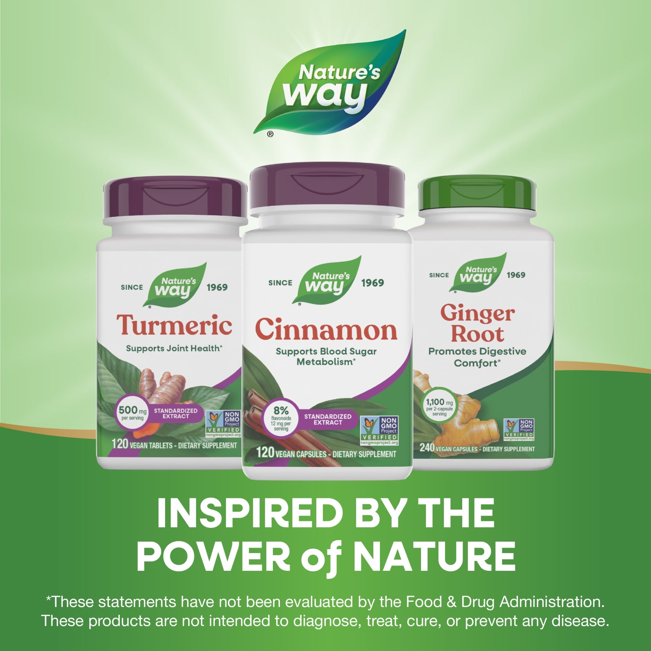 Nature's Way Cinnamon Premium Extract Capsules, Supports Blood Sugar Metabolism*, Unisex, 120ct