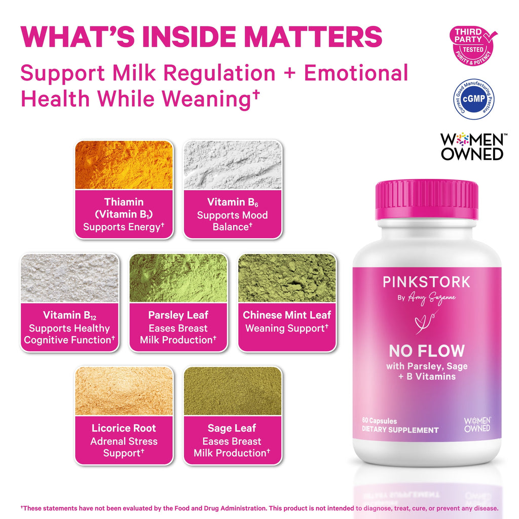 Pink Stork No Flow Support Supplement for Breastfeeding Moms, Thiamin, Mood and Energy, 60 Capsules