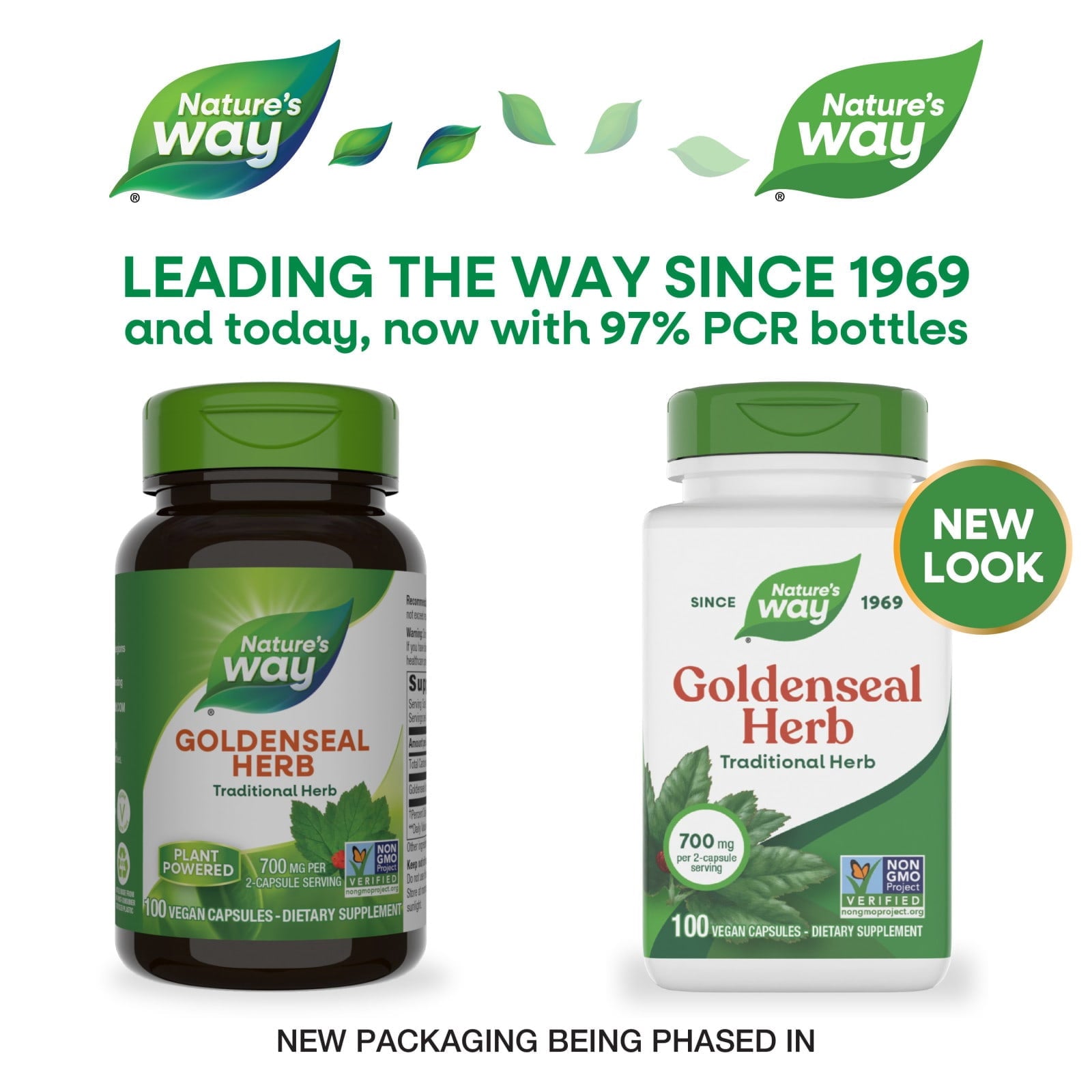 (Pack Of 3) Nature's Way Eyebright Herb 100 Vegetarian Capsules 100 Capsule