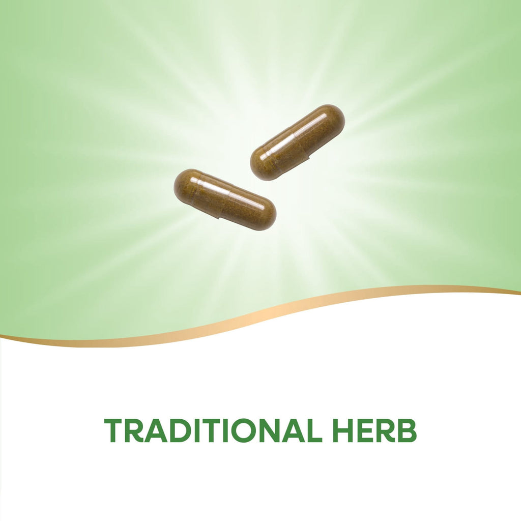 (Pack Of 3) Nature's Way Eyebright Herb 100 Vegetarian Capsules 100 Capsule