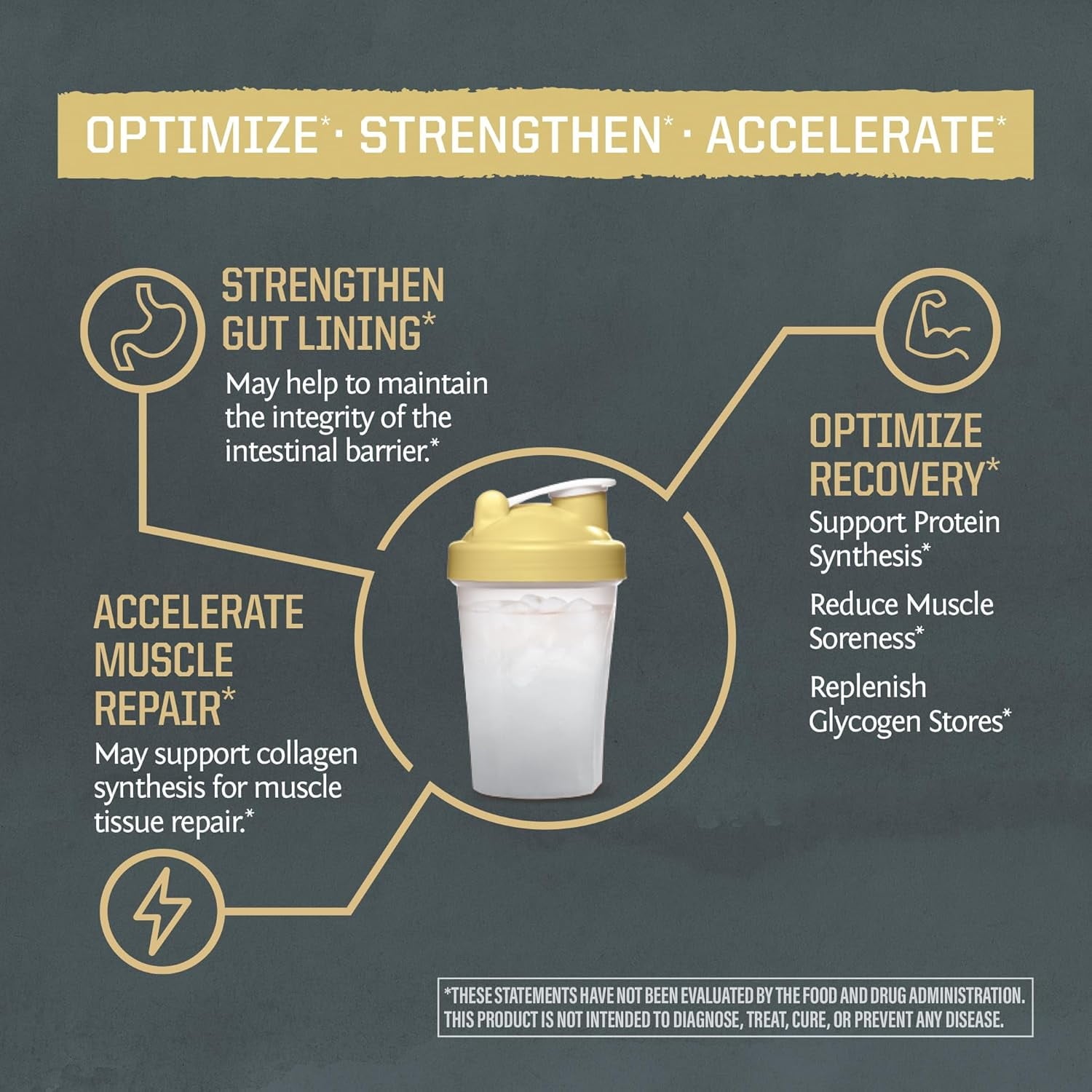 Sunwarrior Glutamine Powder for Muscle Recovery &amp; Gut Health Support, Unflavored, 1.1 lbs