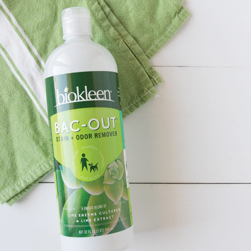 Biokleen Bac-Out Stain &amp; Odor Remover Live Enzyme Cultures &amp; Lime Extract, 32 Fl Oz
