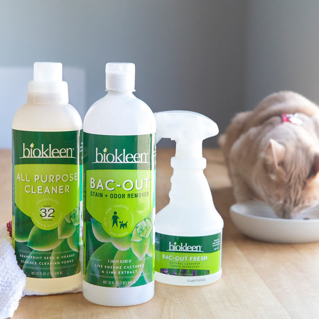 Biokleen Bac-Out Stain &amp; Odor Remover Live Enzyme Cultures &amp; Lime Extract, 32 Fl Oz