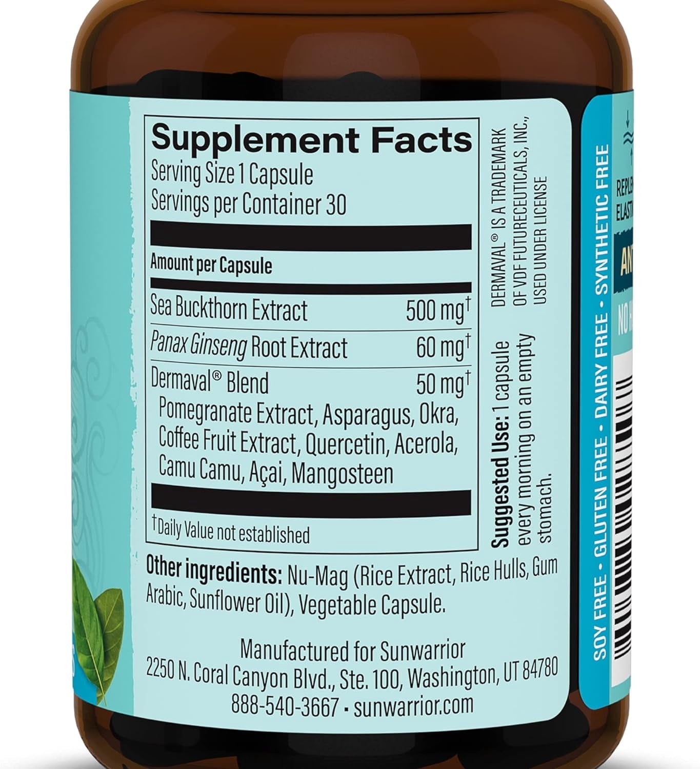 Plant-Based Collagen Protector Capsules with Vitamin C and Biotin