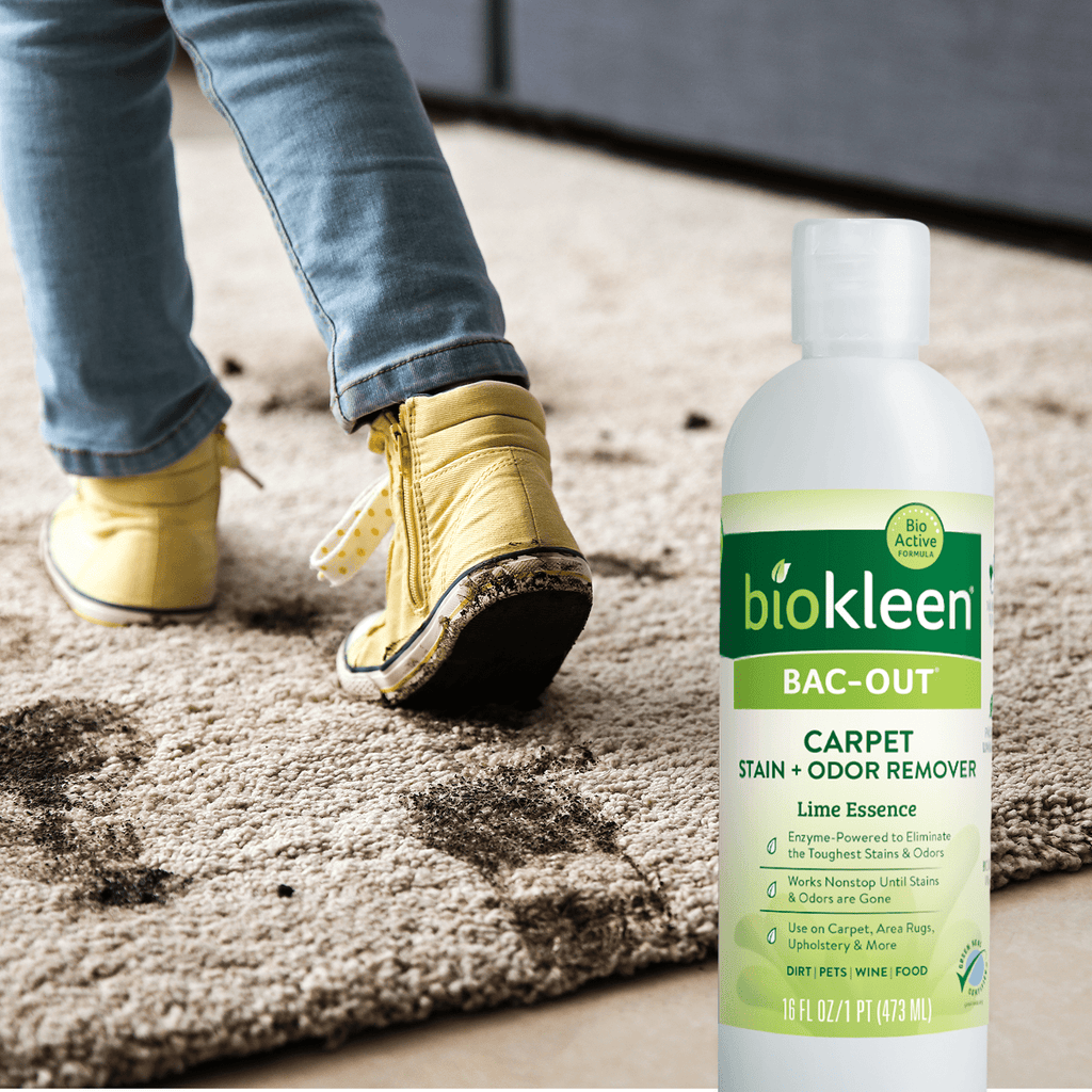 Biokleen Bac-Out Carpet &amp; Fabric Stain and Odor Remover with Enzymes - 2 Pack, 32 oz (64 oz)