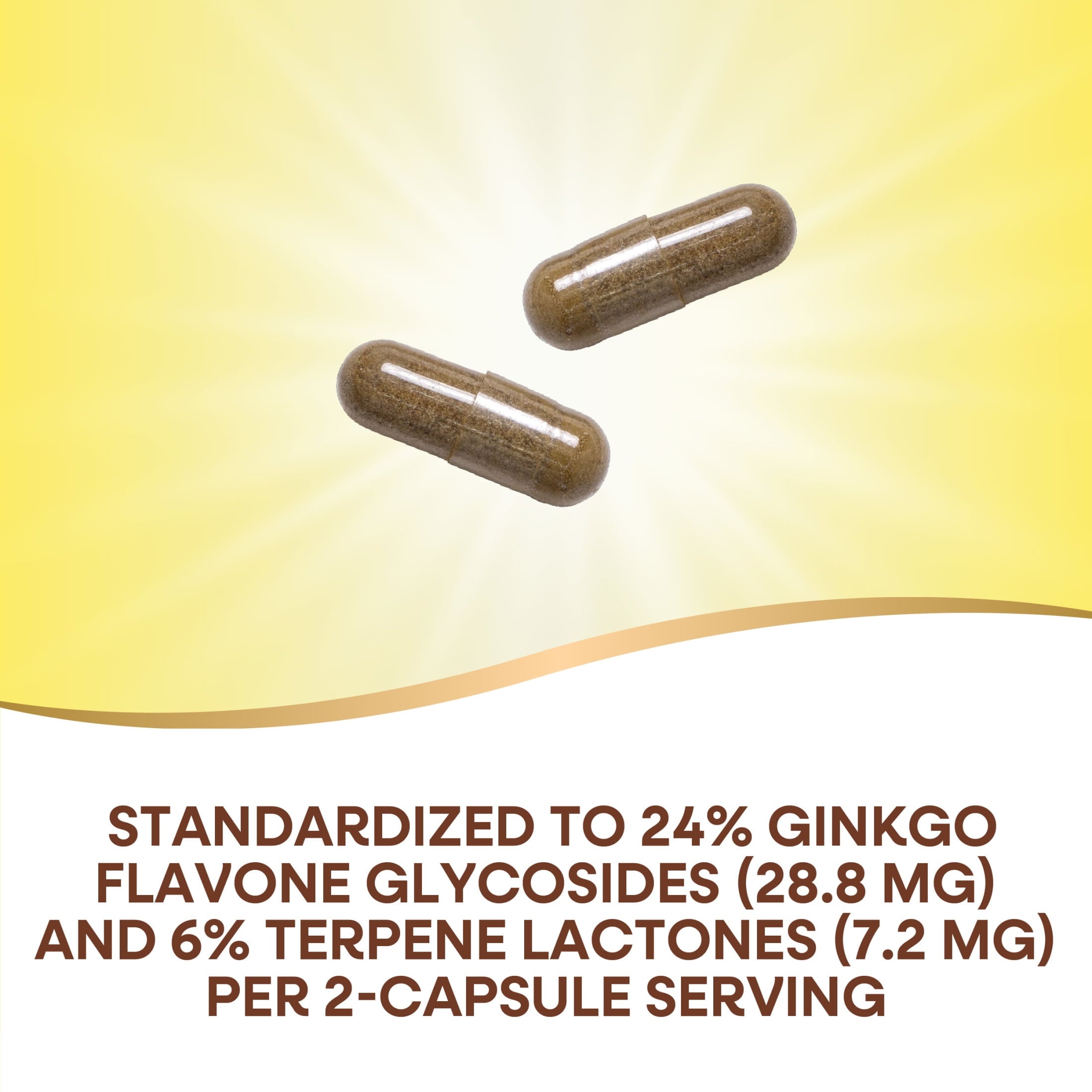 Nature's Way Ginkgo Premium Extract Capsules, Supports Memory &amp; Concentration*, Unisex, 120ct