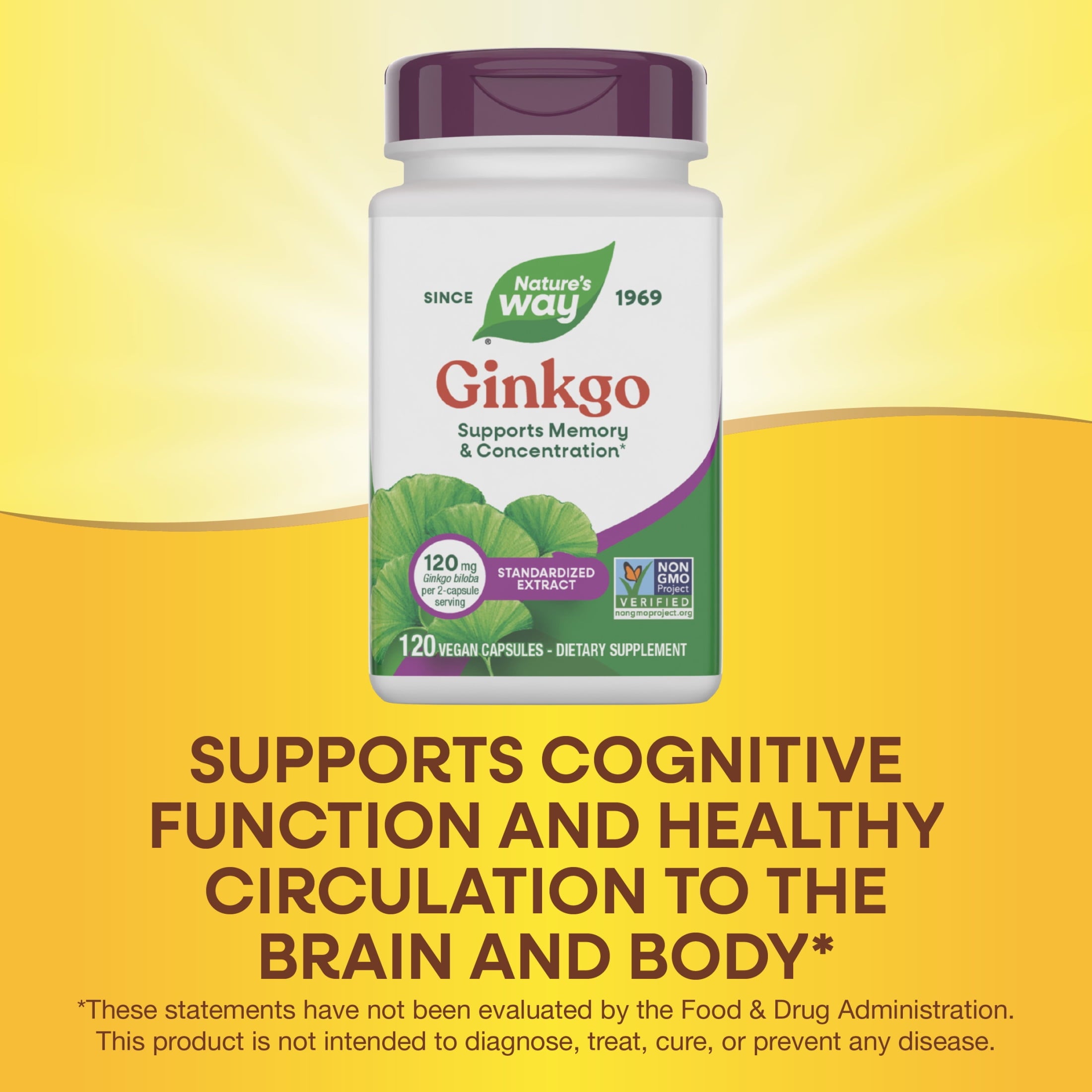 Nature's Way Ginkgo Premium Extract Capsules, Supports Memory &amp; Concentration*, Unisex, 120ct