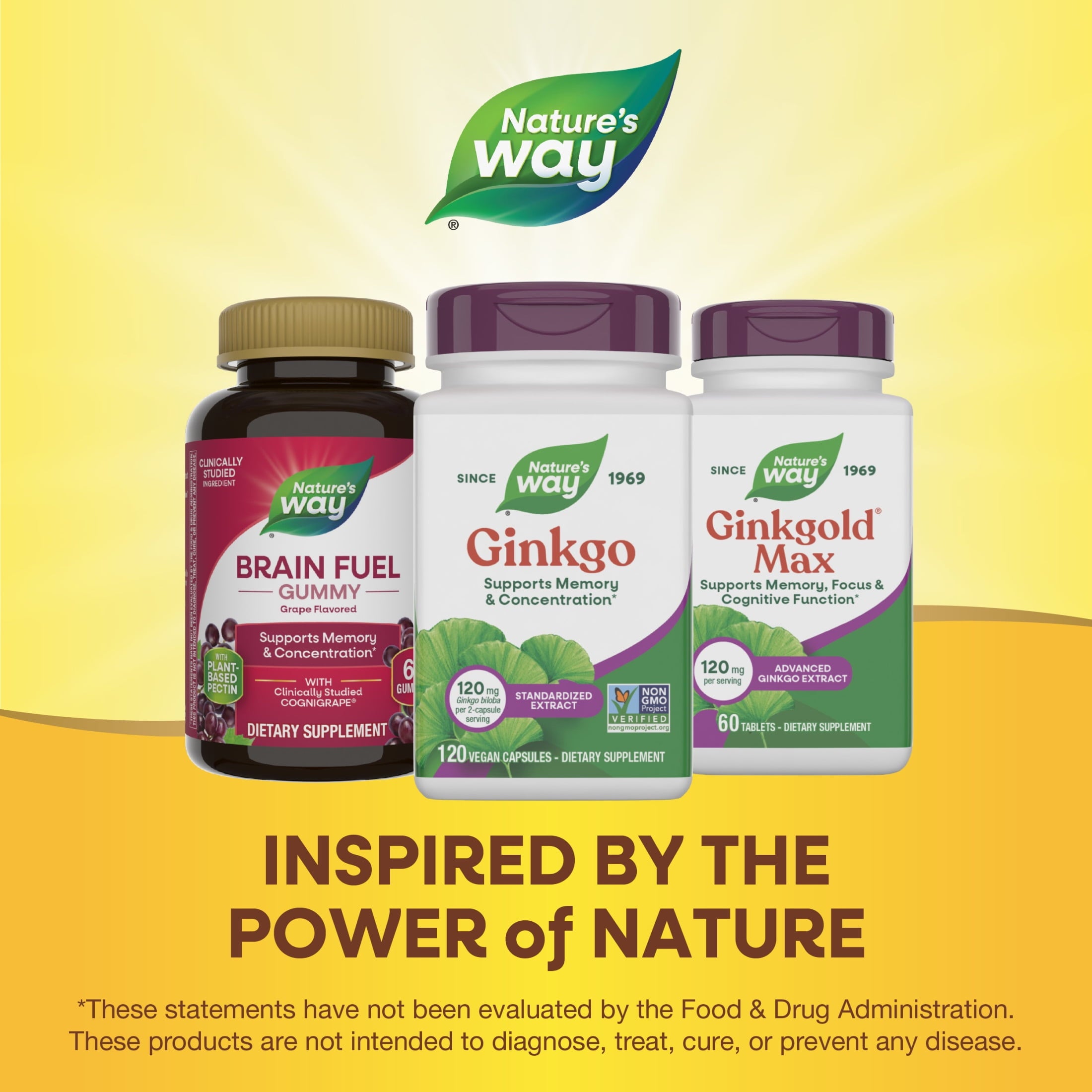 Nature's Way Ginkgo Premium Extract Capsules, Supports Memory &amp; Concentration*, Unisex, 120ct