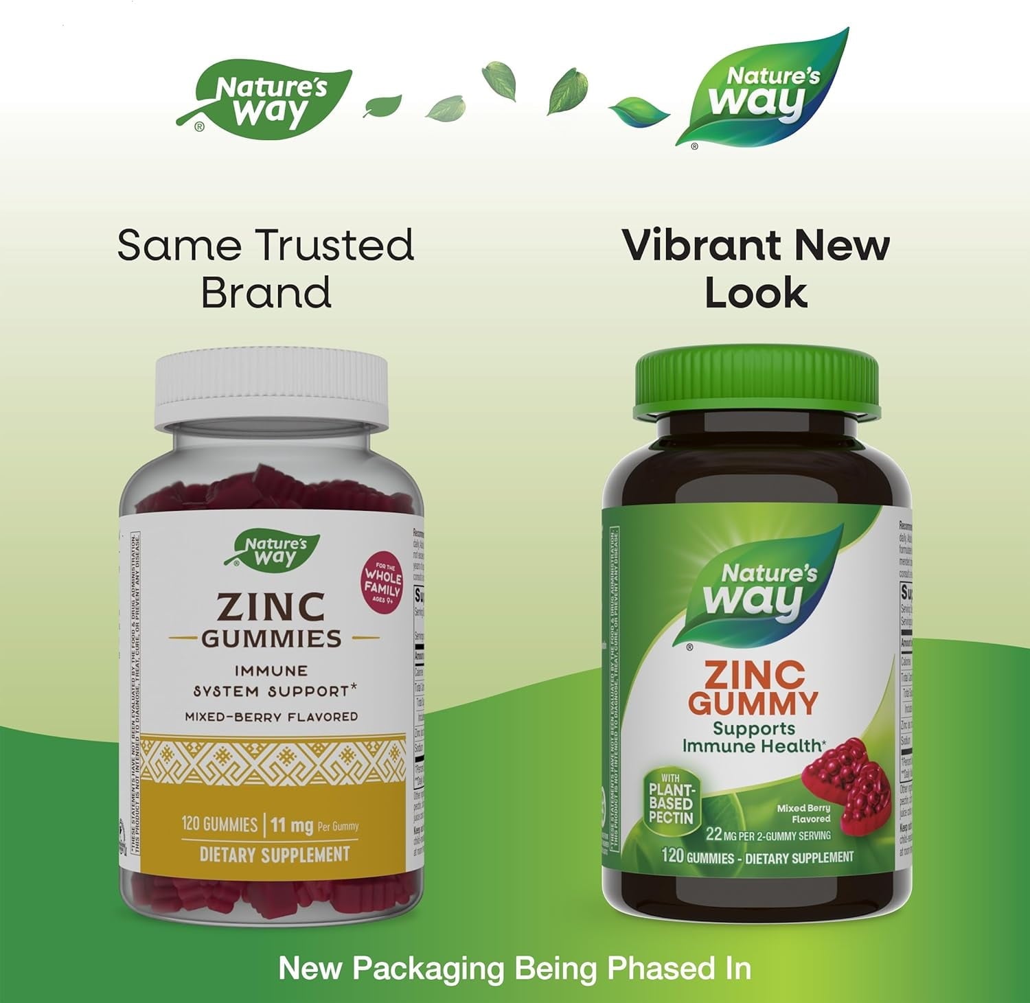 Nature's Way Mixed Berry Flavored 22 mg Zinc Gummy 120 Gummies