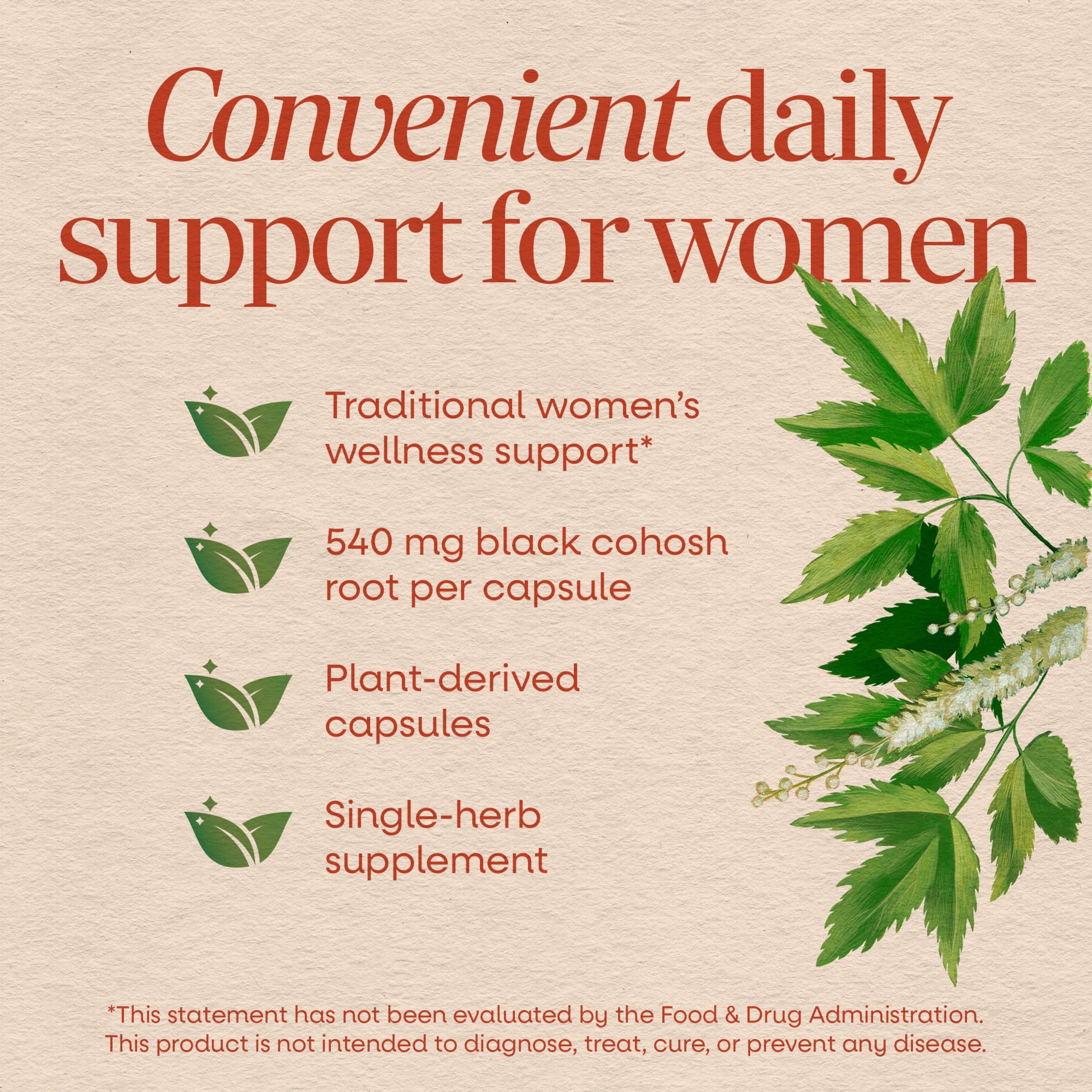 Nature's Way Black Cohosh Root Capsules, Traditional Support for Women's Health*, 180 Count