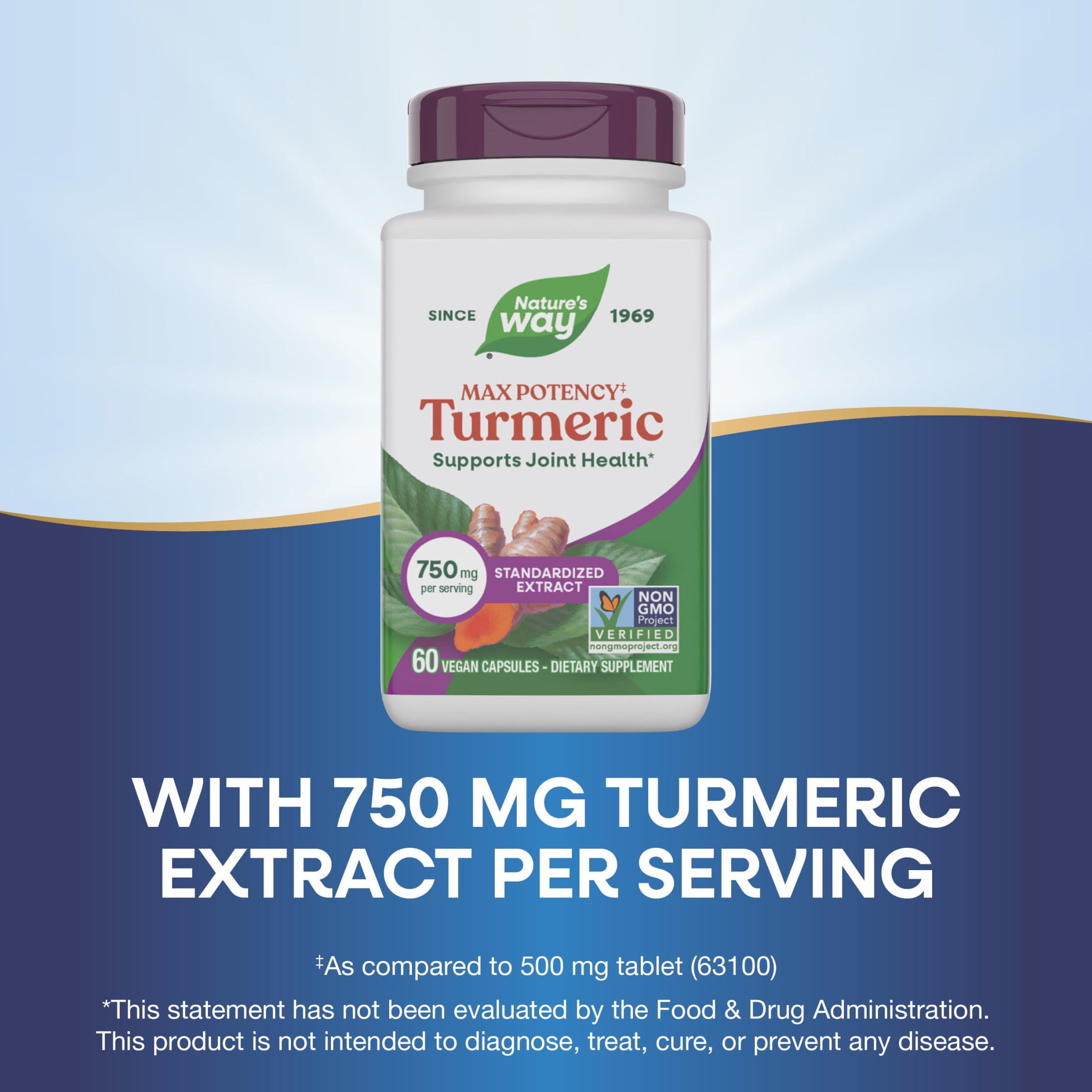 Nature's Way Premium Extract Turmeric Max Potency‡ Capsules, Supports joint health*, Unisex, 60ct