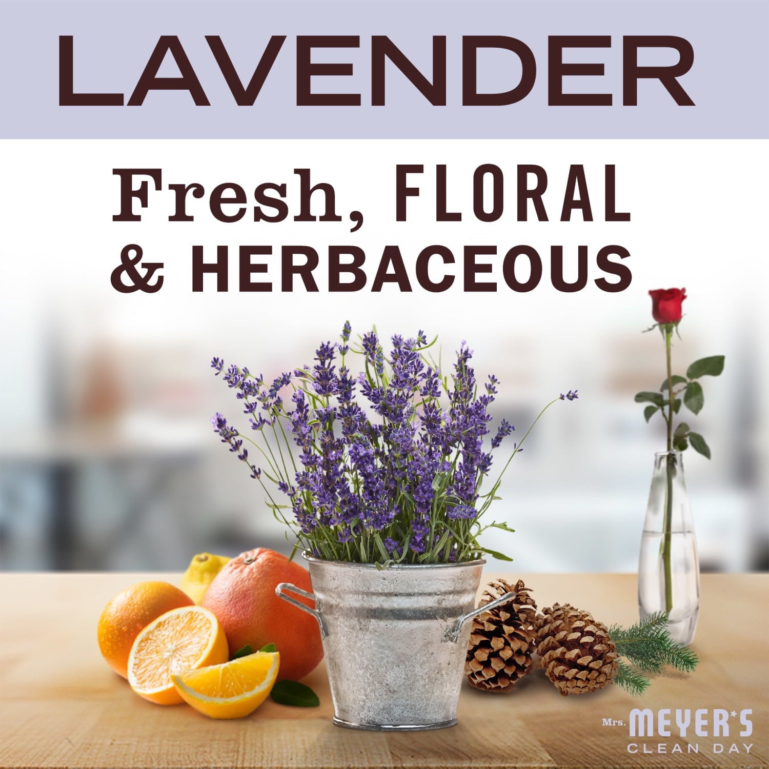 (4 pack) Mrs. Meyer's Clean Day Liquid Hand Soap Refill, Lavender Scent, 33 Ounce Bottle