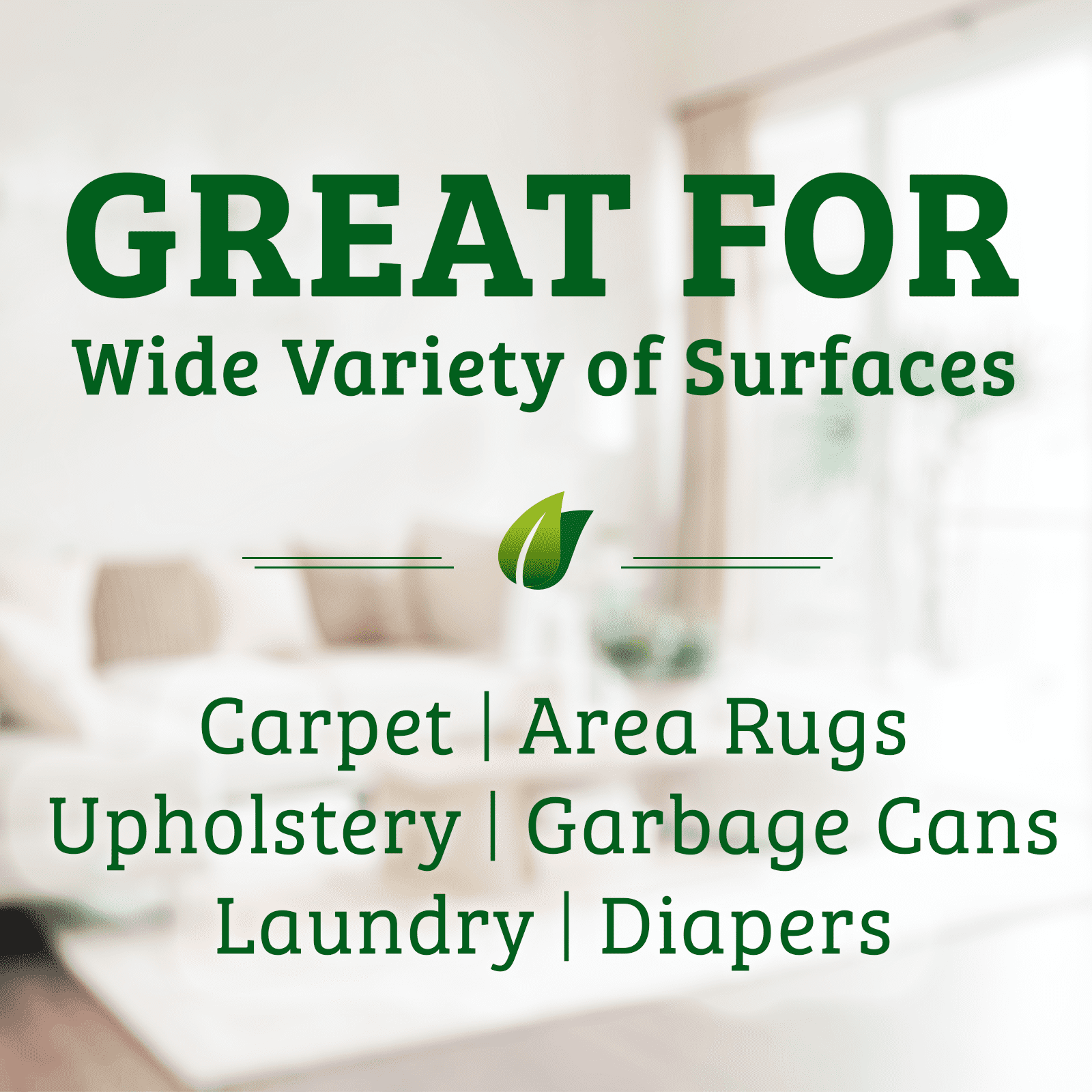 Biokleen Bac-Out Carpet Stain &amp; Odor Eliminator for Carpet, Area Rugs, Upholstery, Laundry Stain Removal and More - 2 Pack