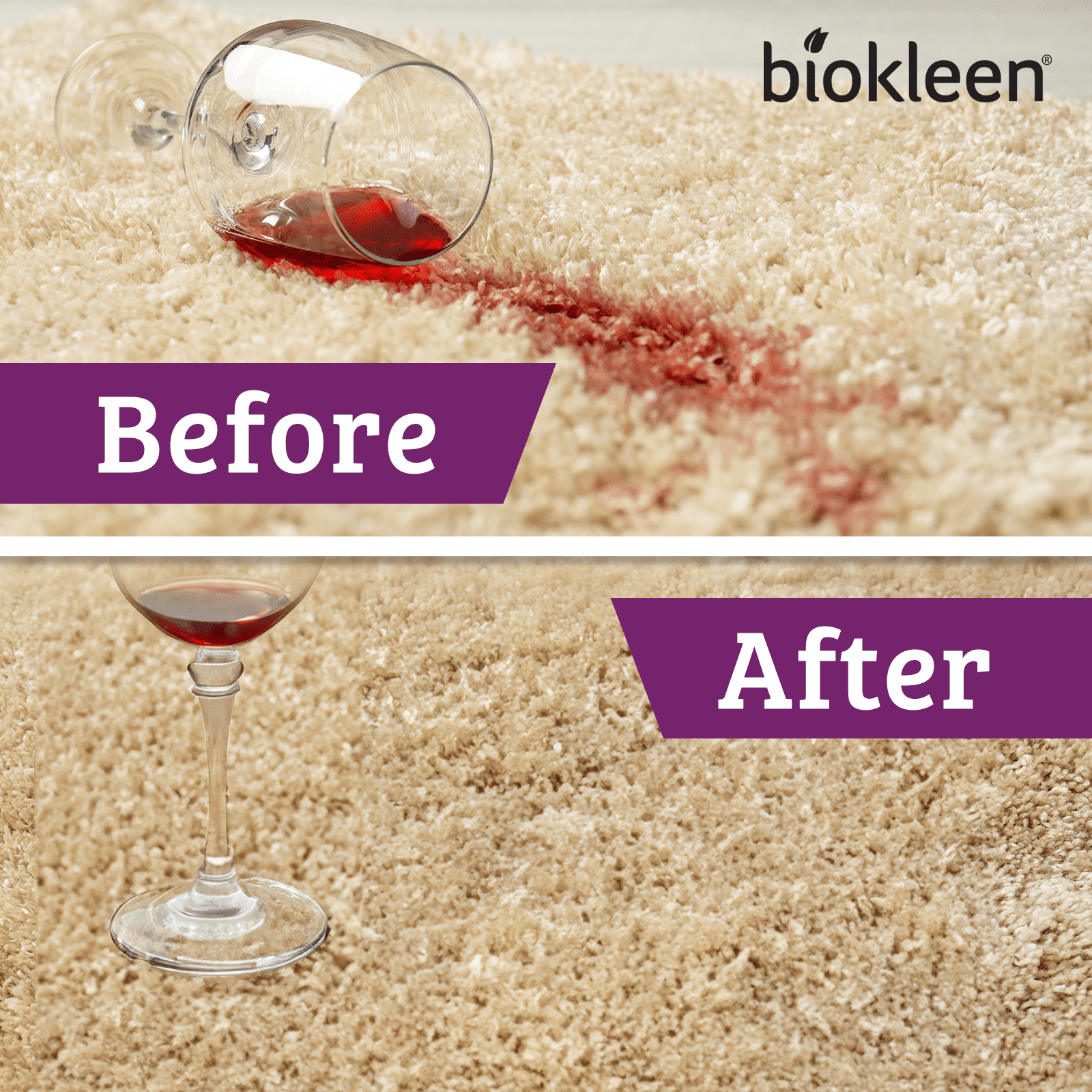 Biokleen Bac-Out Carpet Stain &amp; Odor Eliminator for Carpet, Area Rugs, Upholstery, Laundry Stain Removal and More - 2 Pack