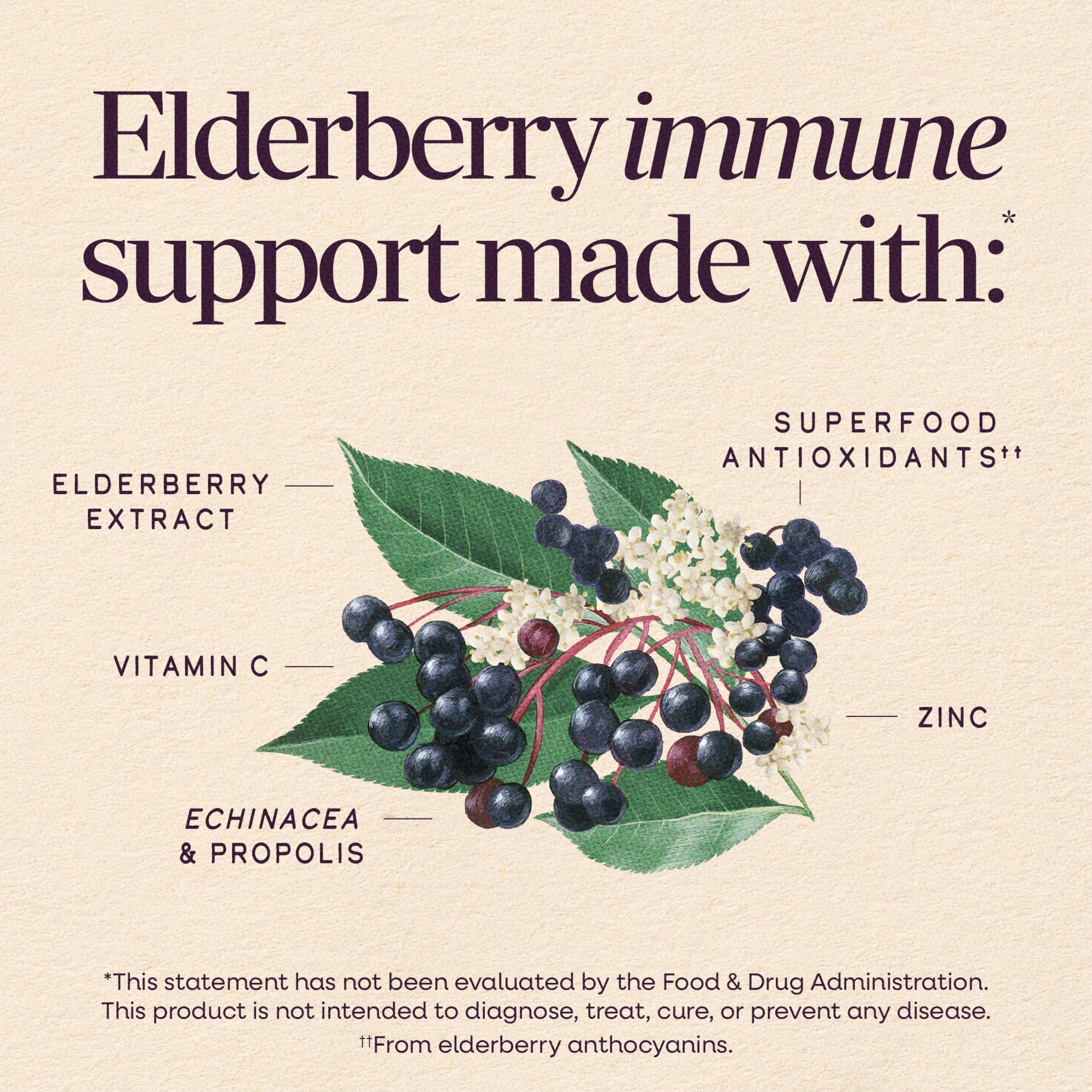 Nature's Way Sambucus Immune Elderberry Syrup, Vitamin C, Zinc, Echinacea, Unisex, 8 fl oz