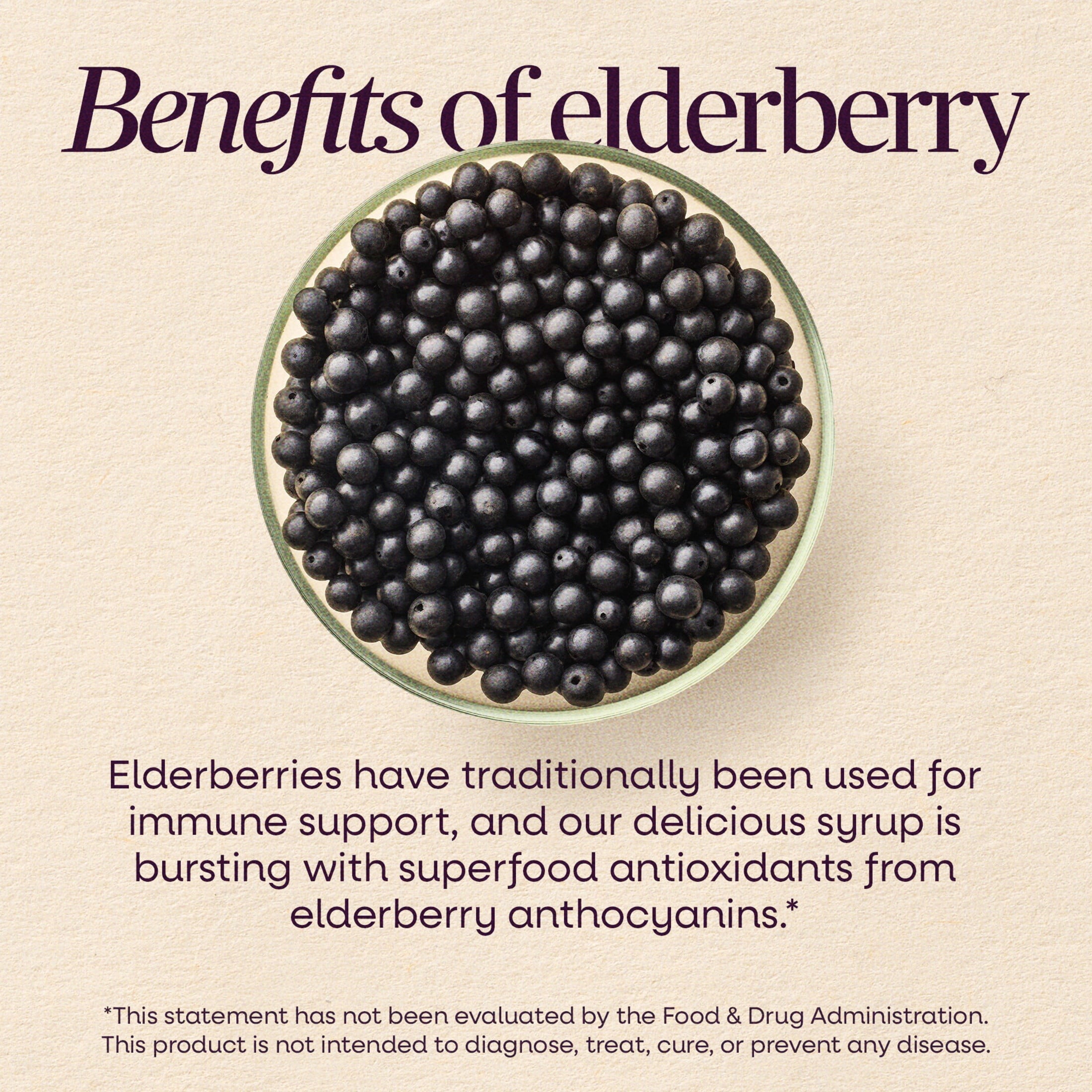 Nature's Way Sambucus Immune Elderberry Syrup, Vitamin C, Zinc, Echinacea, Unisex, 8 fl oz