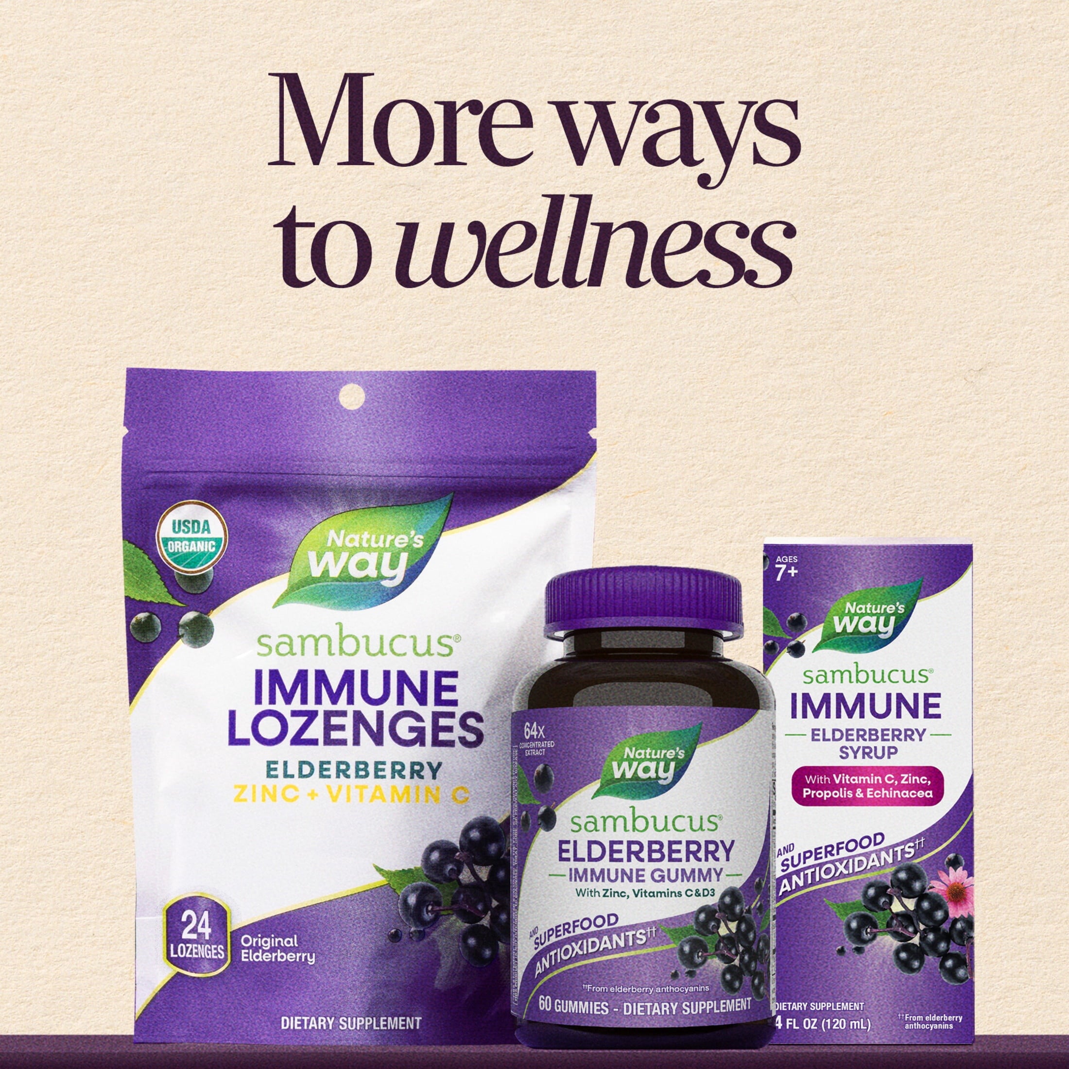 Nature's Way Sambucus Immune Elderberry Syrup, Vitamin C, Zinc, Echinacea, Unisex, 8 fl oz