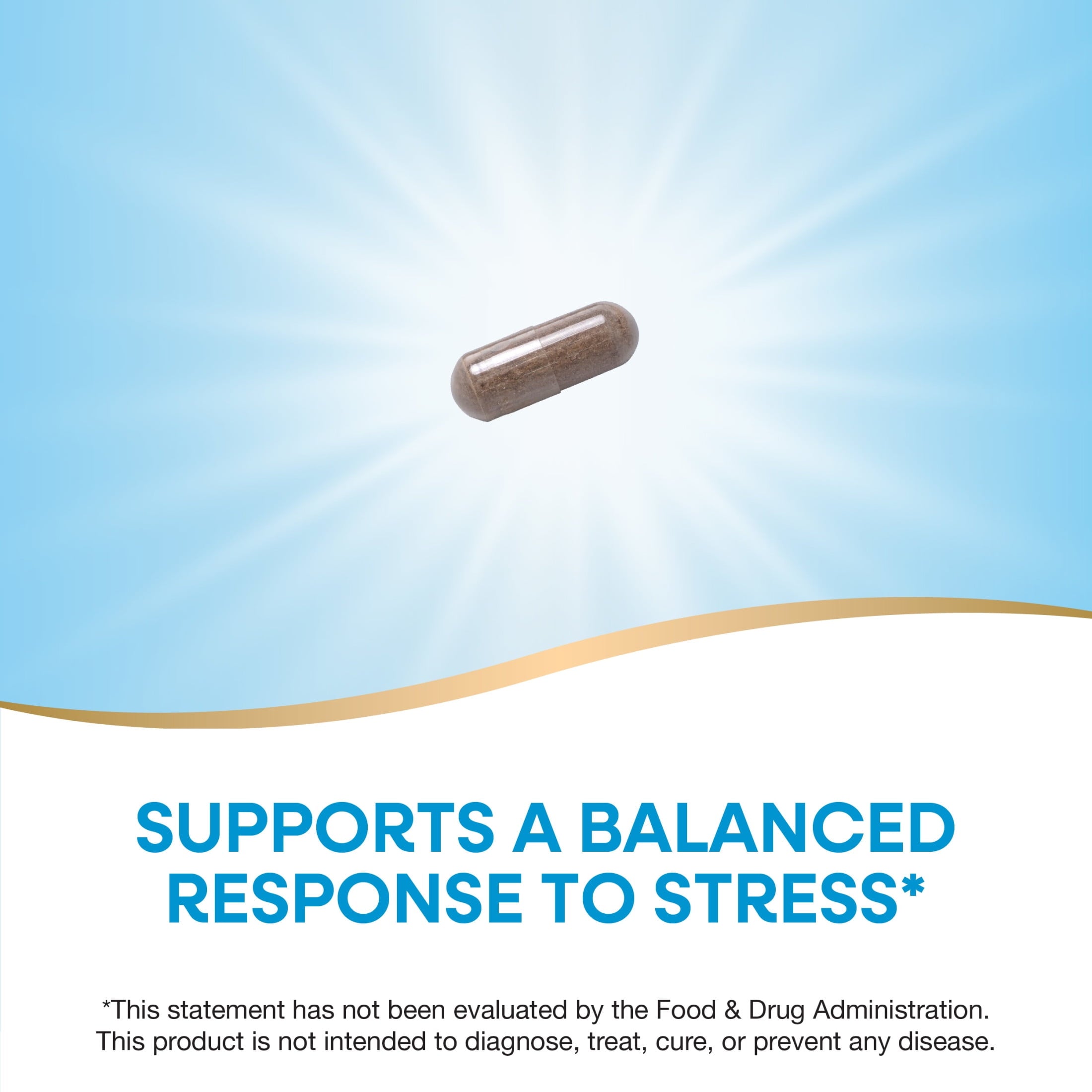 Nature's Way Ashwagandha Capsules, Premium Extract, Reduces Stress*, Adaptogenic*, Unisex, 60ct