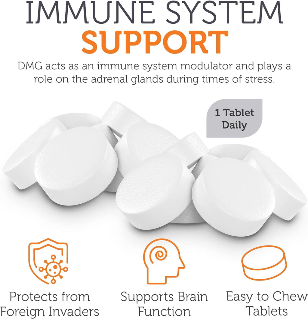 Zahler DMG 500mg - DMG Dimethylglycine Supplement for Endurance &amp; Immune System Support - DMG Supplements with Amino Acid Glycine - Nootropic Brain Supplement - Kosher 1 a Day Tablets 90 Count
