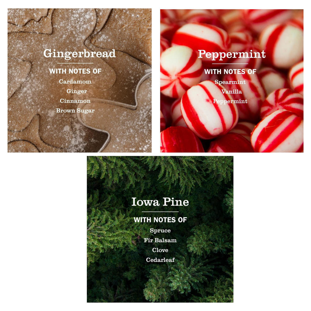 Mrs. Meyer's Clean Day Liquid Hand Soap Holiday Set, Gingerbread, Iowa Pine, Peppermint, 12.5 oz Each, 3 Pack
