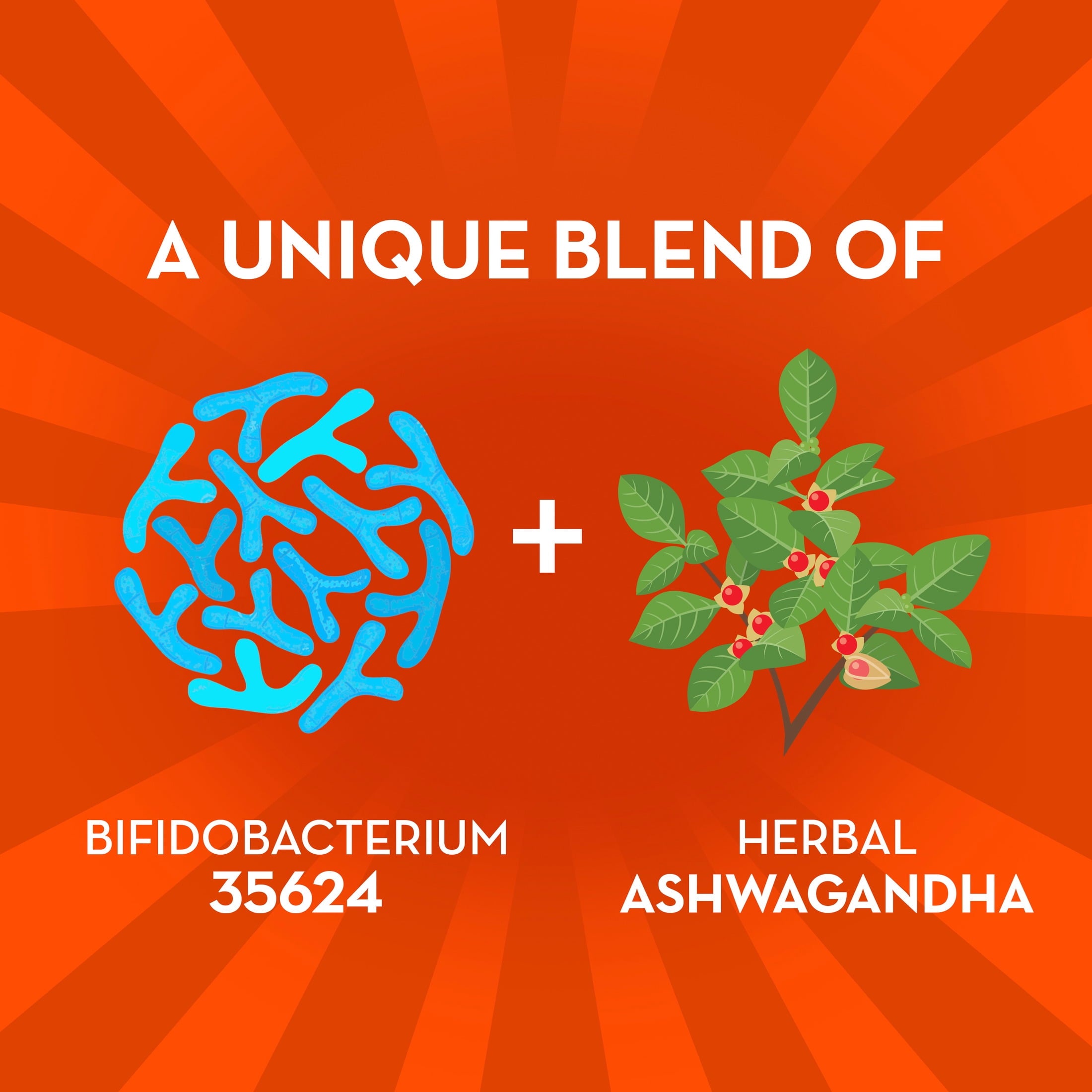 Align Probiotic, Gut Health + Stress Support with Ashwagandha, 21 Capsules