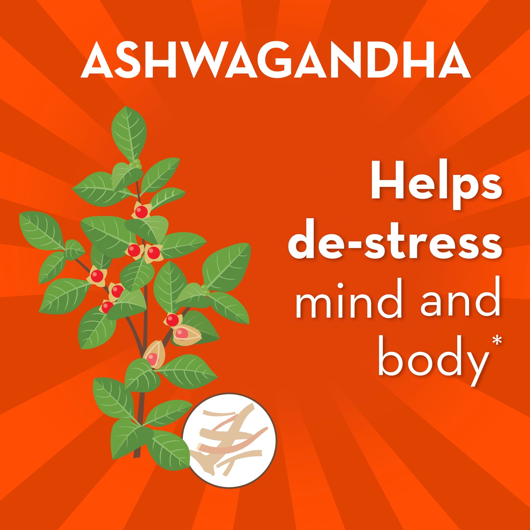 Align Probiotic, Gut Health + Stress Support with Ashwagandha, 21 Capsules