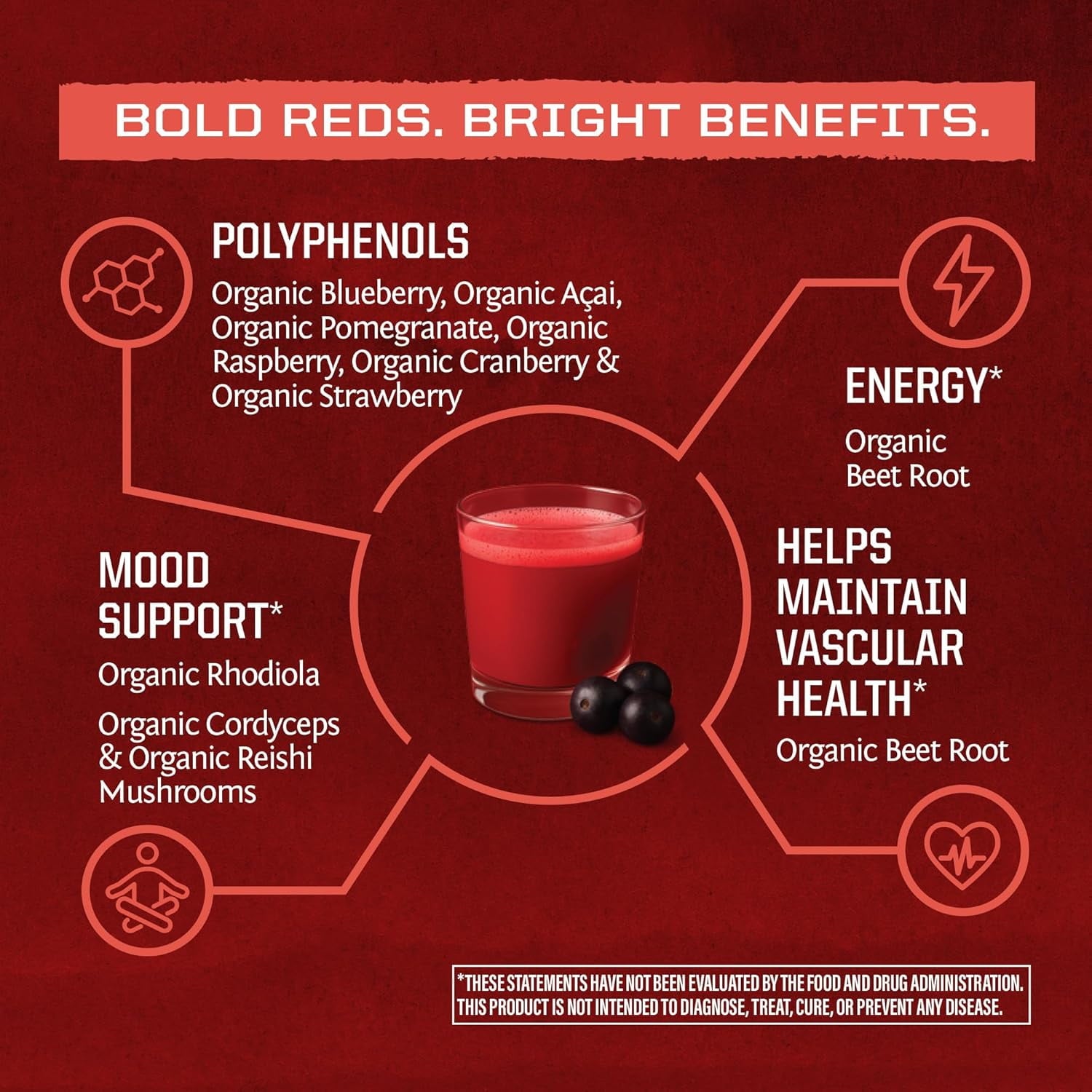Organic Super Reds Powder 11 Superfoods with Beet Root, Berries, Reishi &amp; Cordyceps, Natural Energy, Circulation &amp; Immune Support – USDA Organic Vegan Non-GMO, Gluten-Free Superfood Drink 28 Serv